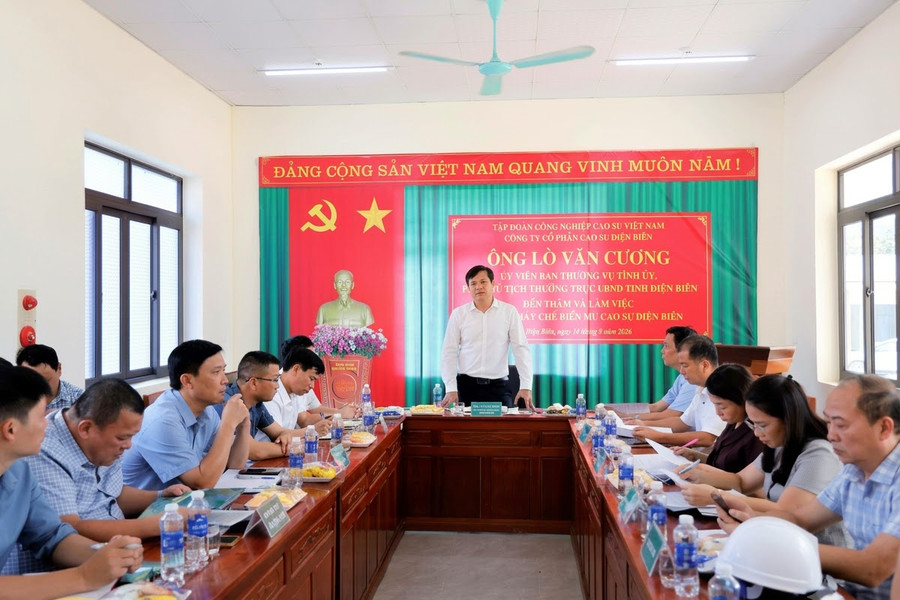 Công ty Cổ phần Cao su Điện Biên đặt mục tiêu doanh thu 288 tỷ đồng trong năm 2026