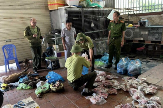 Phát hiện 89 cá thể động vật hoang dã trong tủ đông