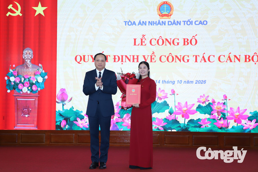 Bổ nhiệm Phó Vụ trưởng Vụ Giám đốc, kiểm tra về hình sự