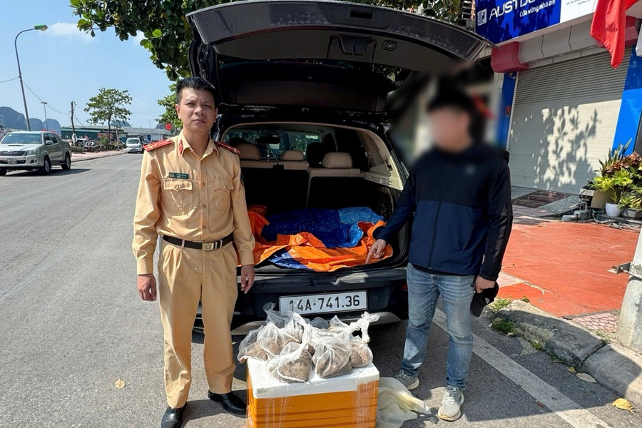 Phát hiện 1,7 triệu con ngao giống không rõ nguồn gốc