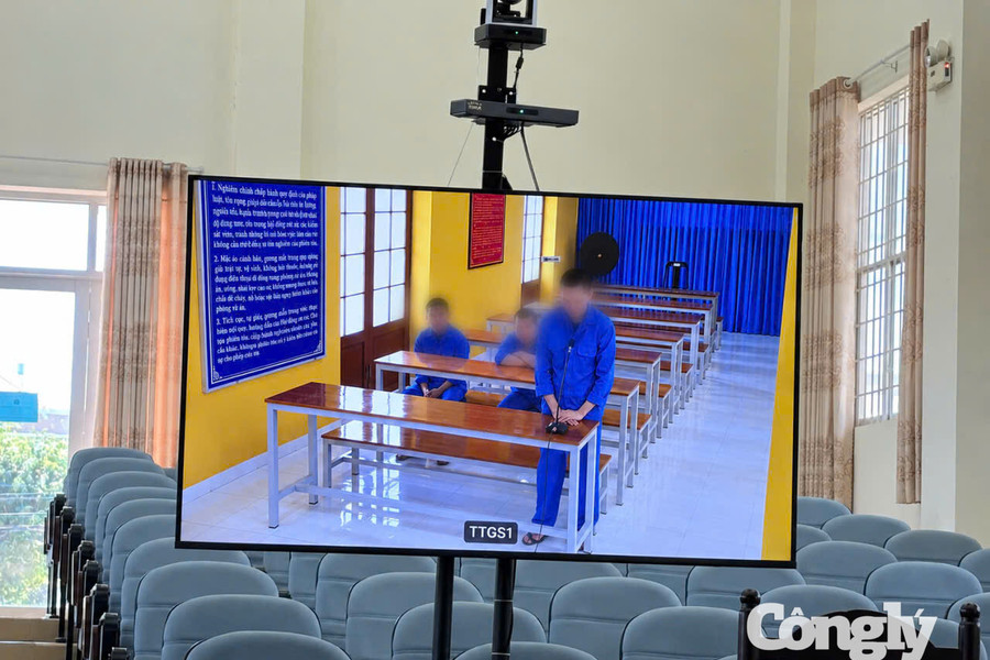 Lĩnh án do nhiều lần bán ma túy, rủ bạn sử dụng tại phòng trọ